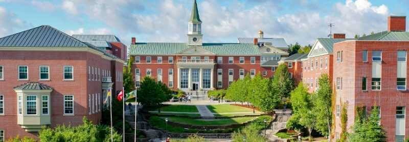 dai hoc st_ thomas university 1